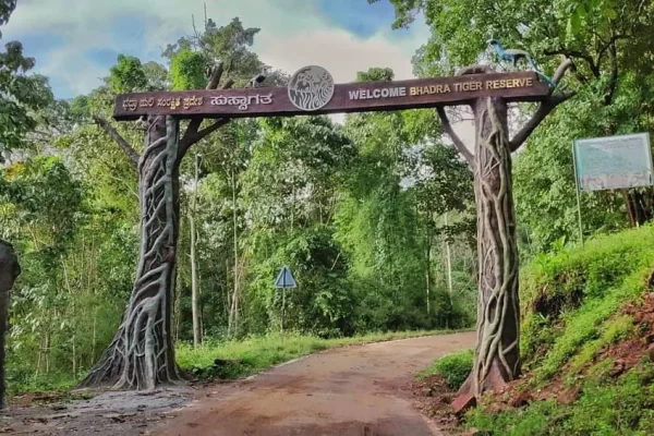 Bhadra Wildlife Sanctuary SS CoCo Nest offer 2 BHK service apartments in Chikmagalu